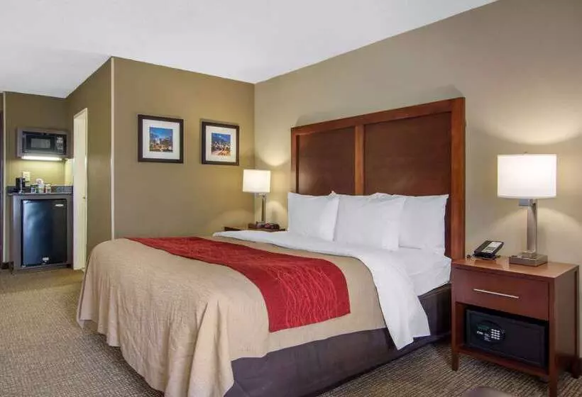 Fotos del hotel Comfort Inn Sandy Springs – Perimeter:  19