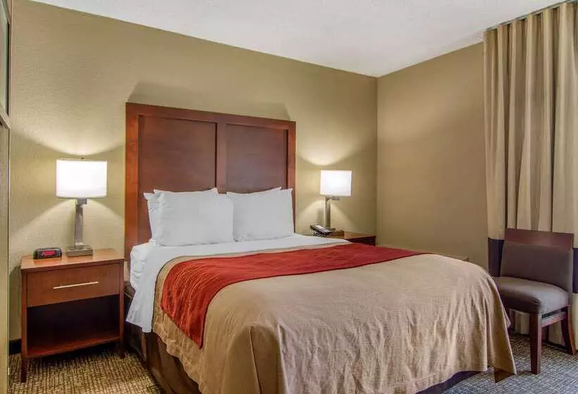 Fotos del hotel Comfort Inn Sandy Springs – Perimeter:  9
