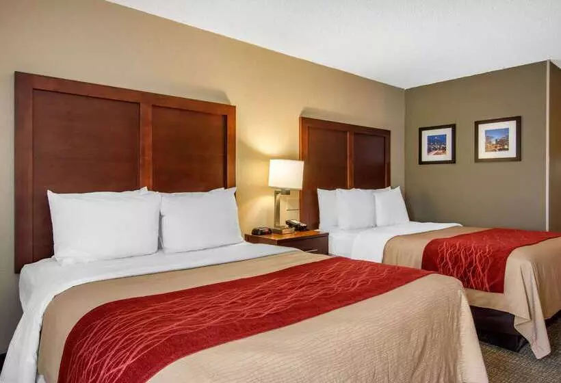 Fotos del hotel Comfort Inn Sandy Springs – Perimeter:  22
