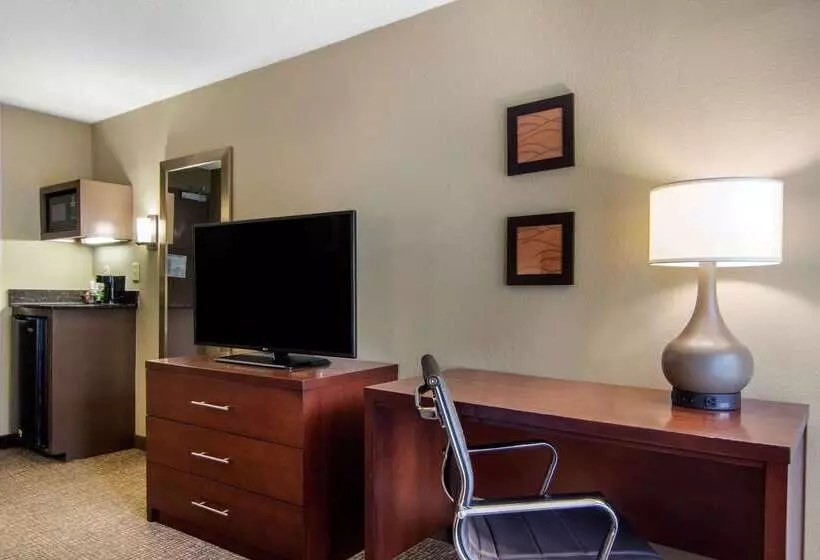 Fotos del hotel Comfort Inn Sandy Springs – Perimeter:  25