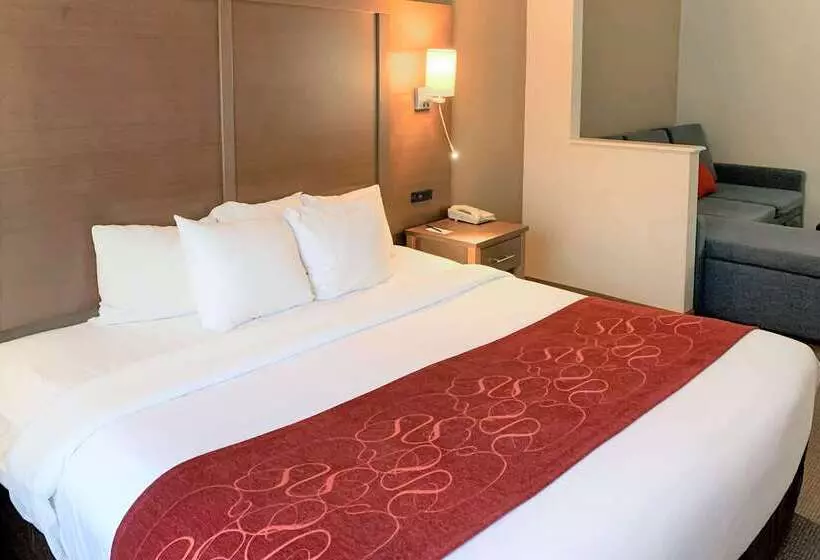 Fotos del hotel Comfort Suites Bush Intercontinental Airport:  22