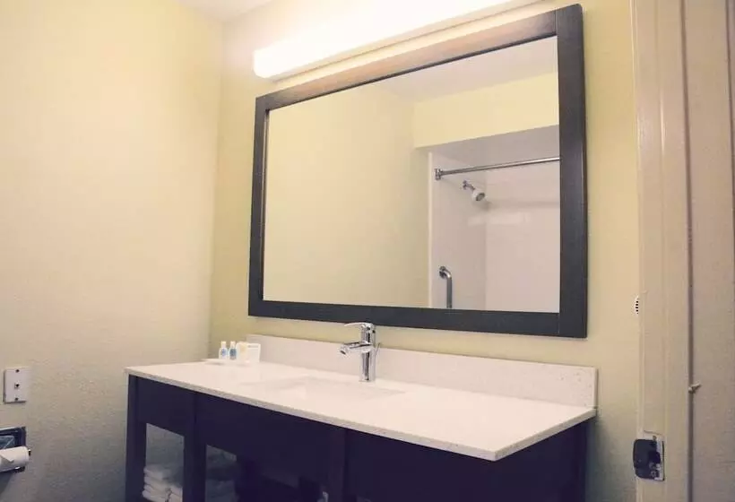 Fotos del hotel Comfort Suites Bush Intercontinental Airport:  5