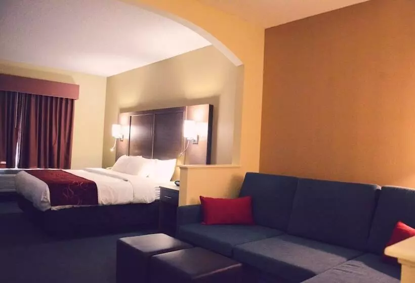 Fotos del hotel Comfort Suites Bush Intercontinental Airport:  16