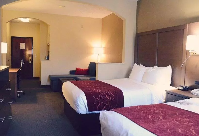 Fotos del hotel Comfort Suites Bush Intercontinental Airport:  7