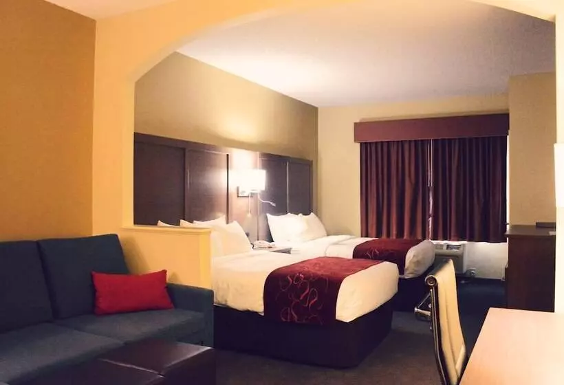 Fotos del hotel Comfort Suites Bush Intercontinental Airport:  24