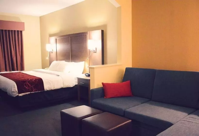Fotos del hotel Comfort Suites Bush Intercontinental Airport:  21