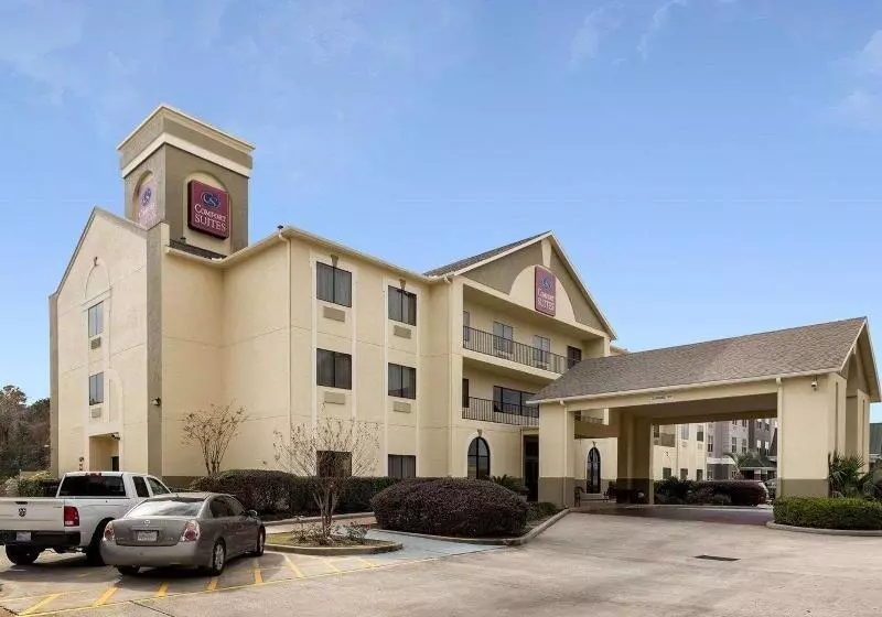 Fotos del hotel Comfort Suites Bush Intercontinental Airport:  15