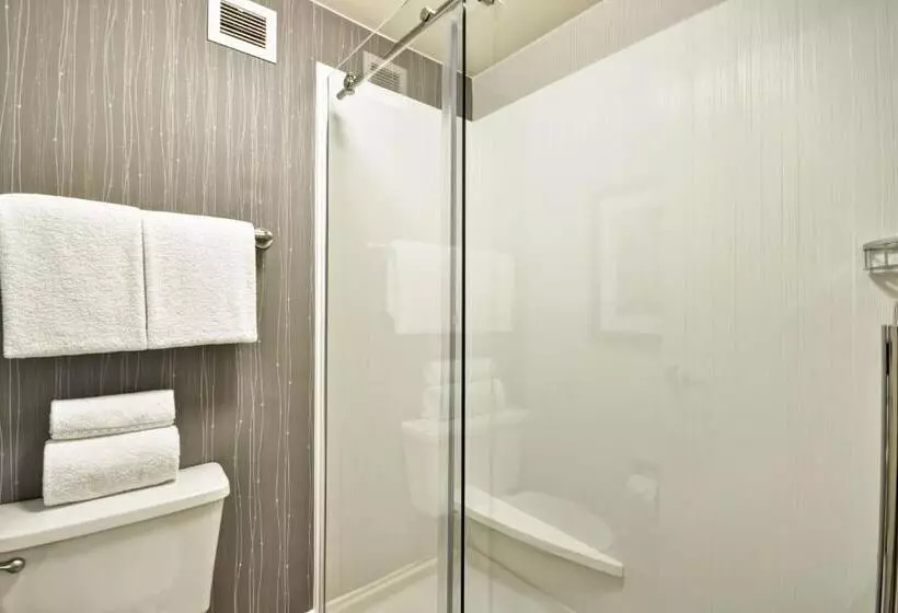 Fotos del hotel Courtyard Dallas Medical Market Center:  18