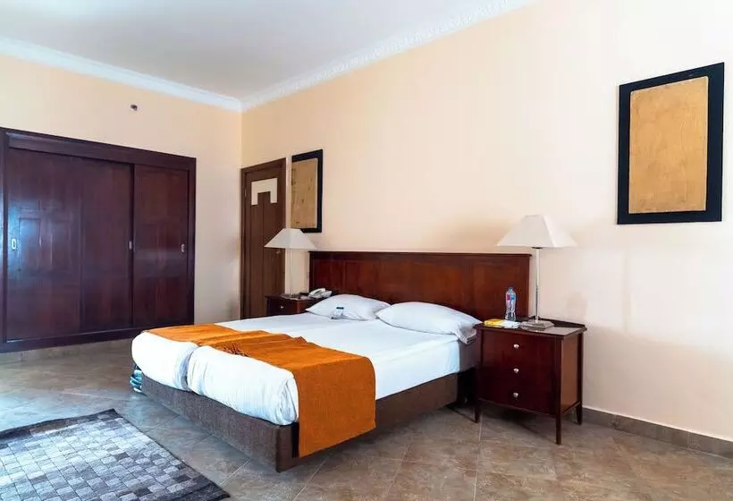 Fotos del hotel Swiss Inn Plaza:  17