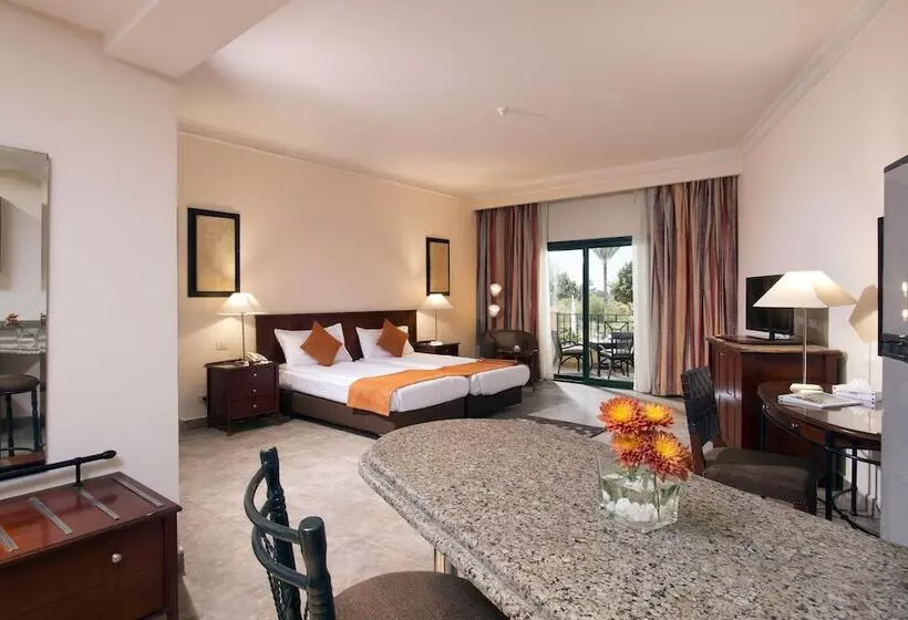 Fotos del hotel Swiss Inn Plaza:  22