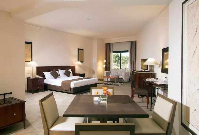 Fotos del hotel Swiss Inn Plaza:  23