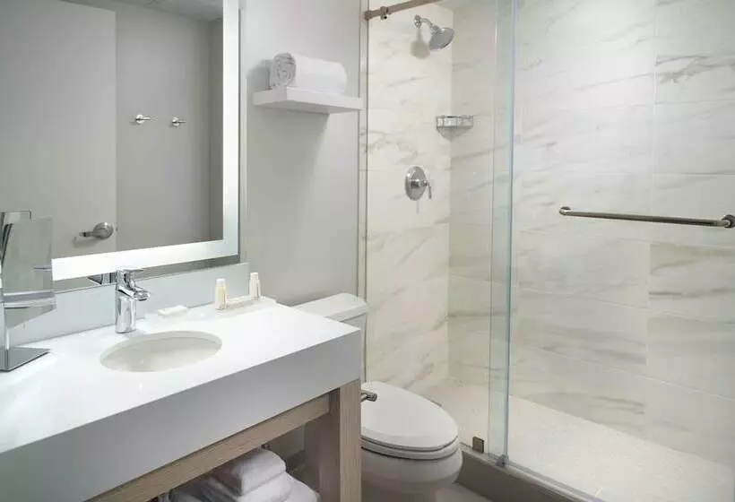 Fotos del hotel Courtyard Miami Coconut Grove:  9