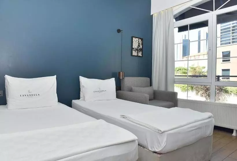 Fotos del hotel Levent Lavandula:  10