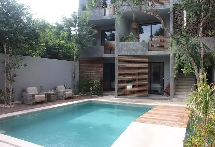 Fotos del hotel Little Gem  Tulum La Veleta:  10