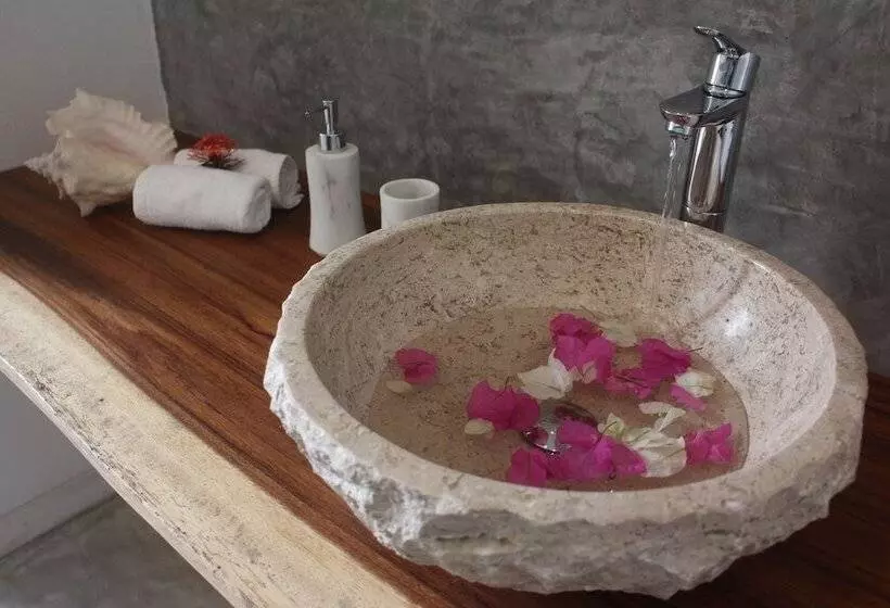 Fotos del hotel Little Gem  Tulum La Veleta:  11