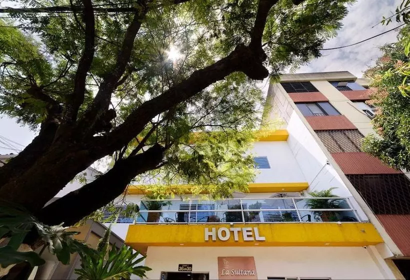 Fotos del hotel Ayenda 1403 Sultana:  3