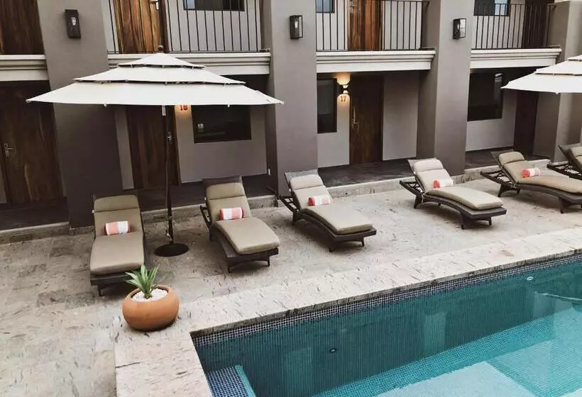 Fotos del hotel Six Two Four Urban Beach:  2