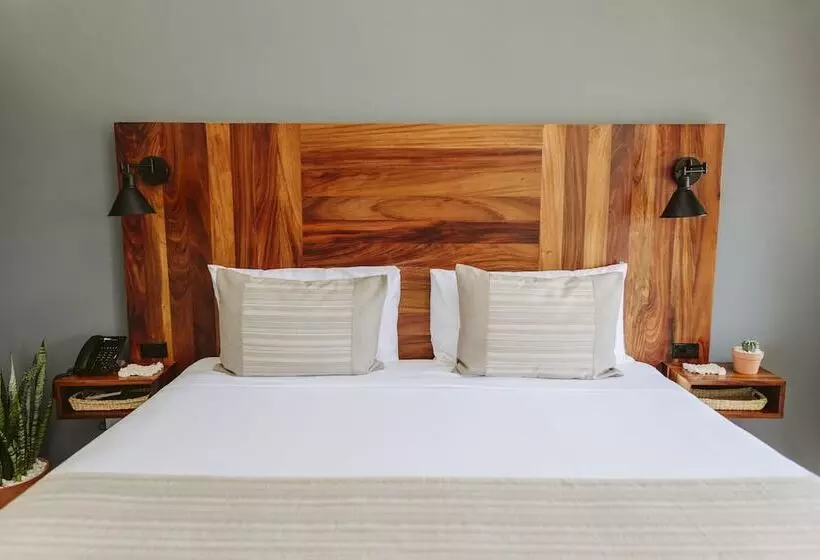 Fotos del hotel Six Two Four Urban Beach:  25
