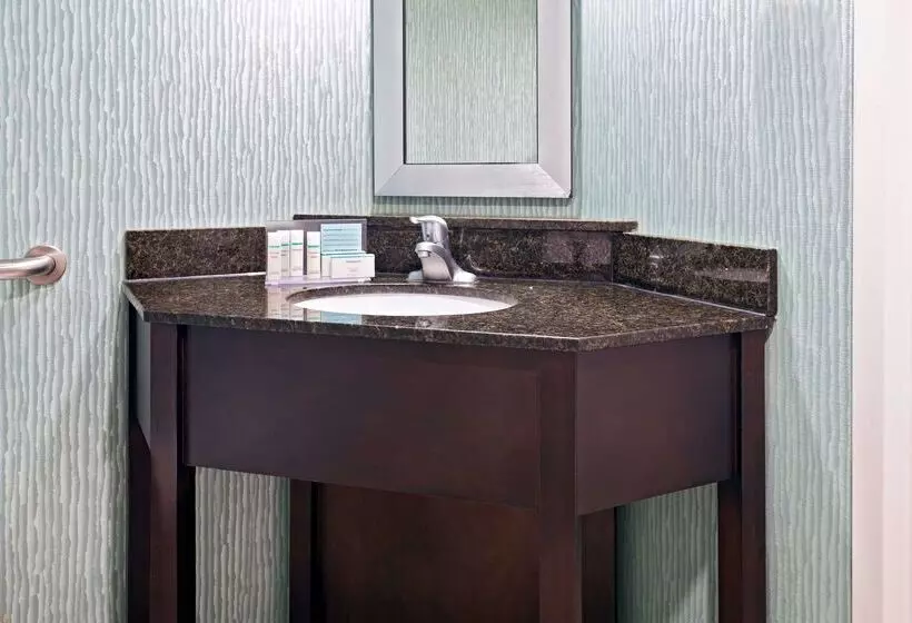 Fotos del hotel Hampton Inn Orlandointernational Airport:  12