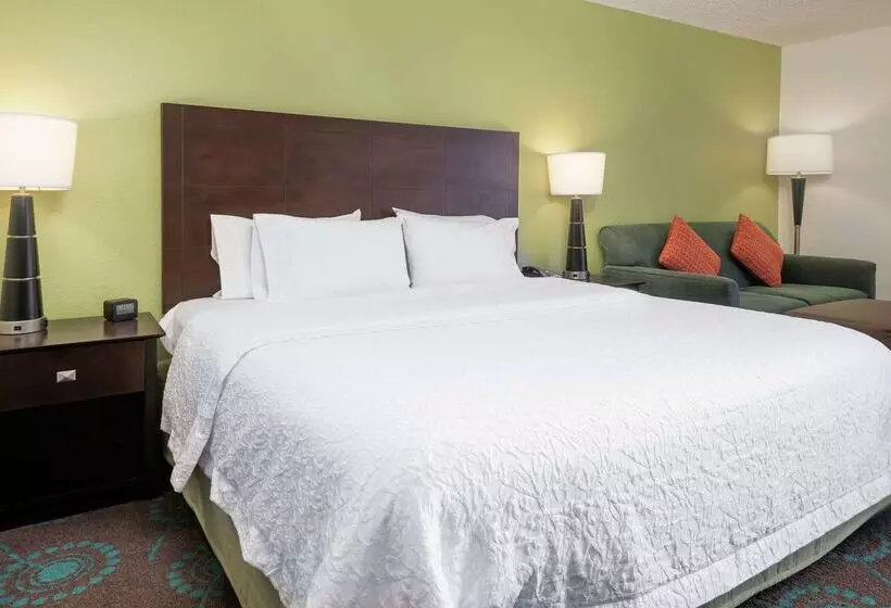 Fotos del hotel Hampton Inn Orlandointernational Airport:  17