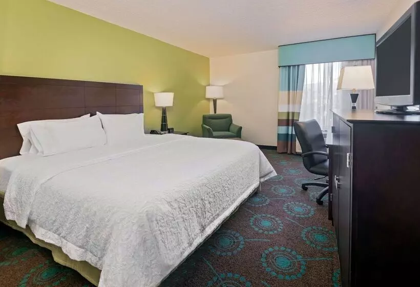 Fotos del hotel Hampton Inn Orlandointernational Airport:  20
