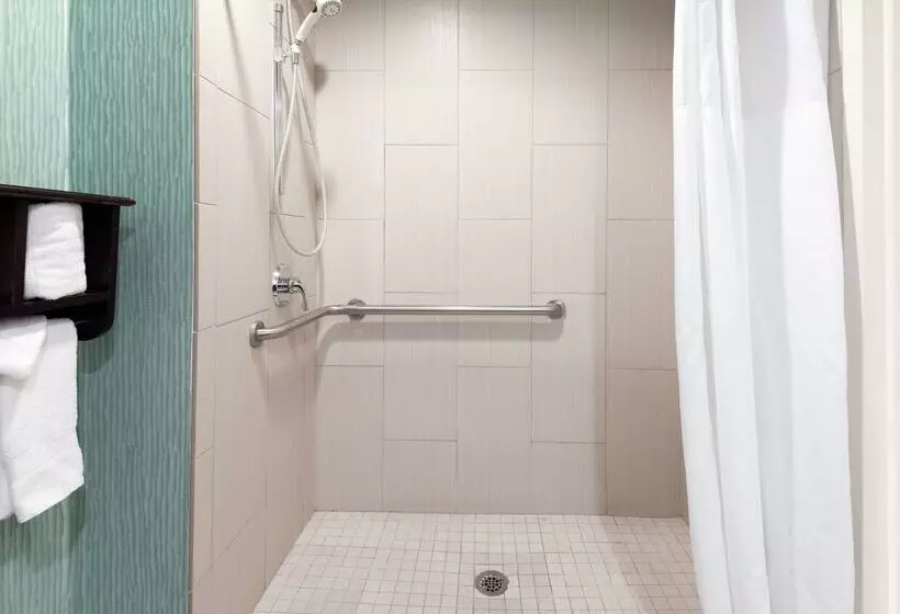 Fotos del hotel Hampton Inn Orlandointernational Airport:  8