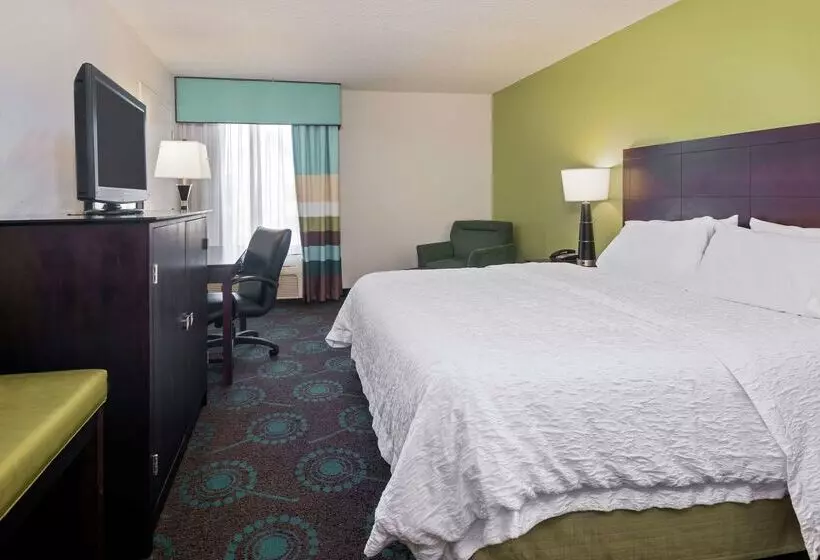 Fotos del hotel Hampton Inn Orlandointernational Airport:  6