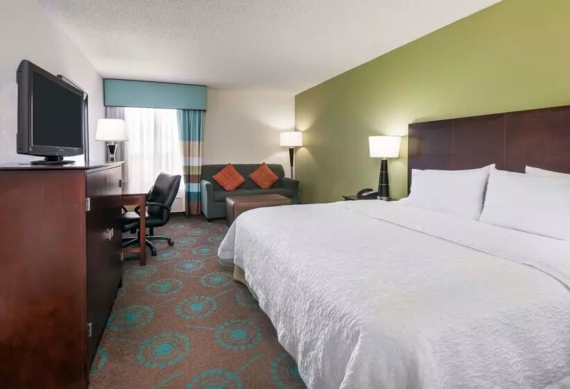 Fotos del hotel Hampton Inn Orlandointernational Airport:  2