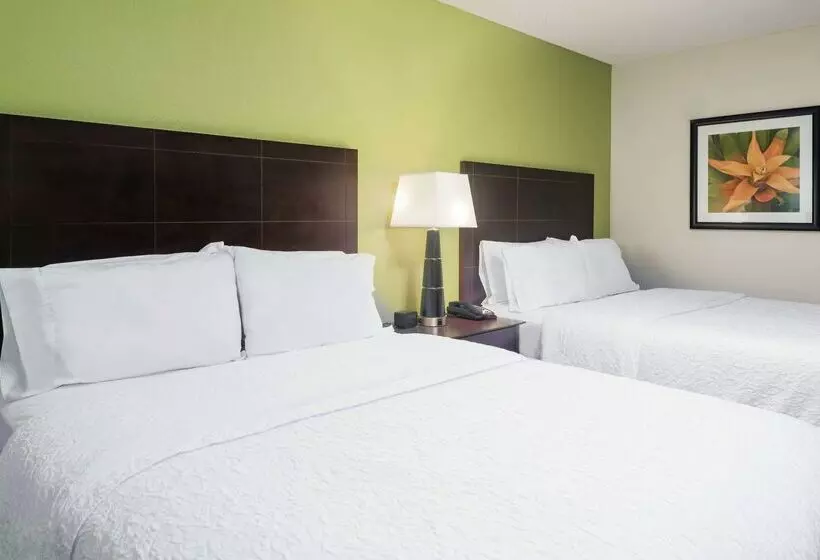 Fotos del hotel Hampton Inn Orlandointernational Airport:  22