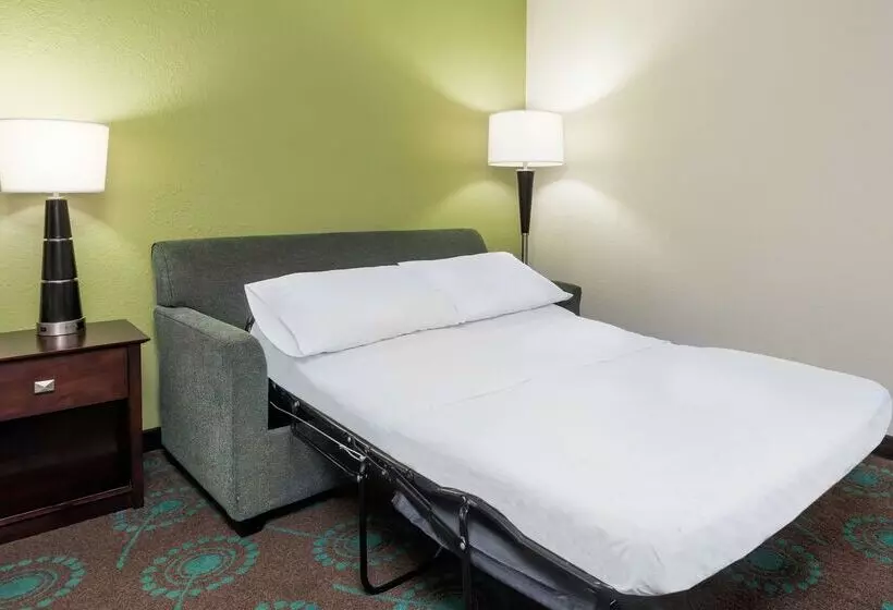 Fotos del hotel Hampton Inn Orlandointernational Airport:  24