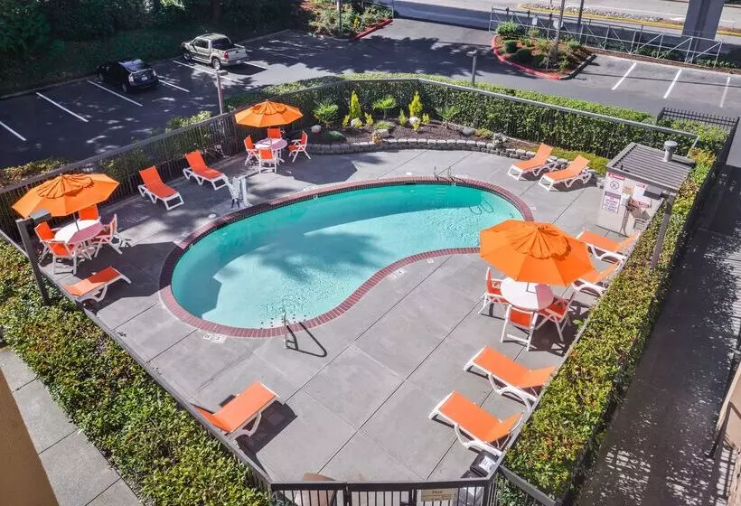 Fotos del hotel Hampton Inn Seattle Airport:  12