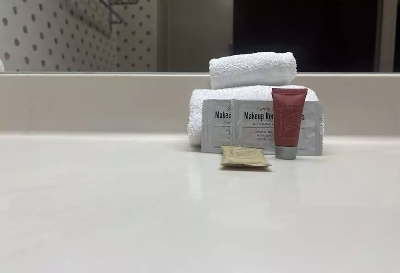 Fotos del hotel Ramada By Wyndham Orlando Florida Mall:  19