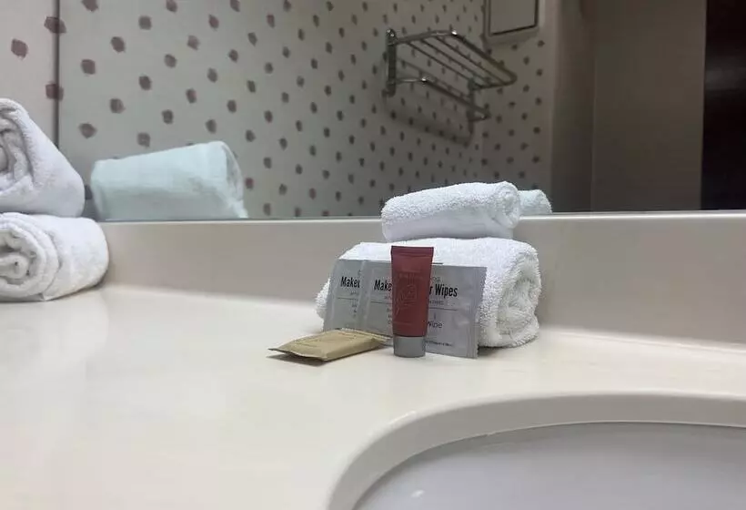 Fotos del hotel Ramada By Wyndham Orlando Florida Mall:  5