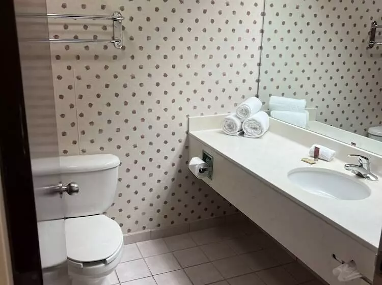 Fotos del hotel Ramada By Wyndham Orlando Florida Mall:  14