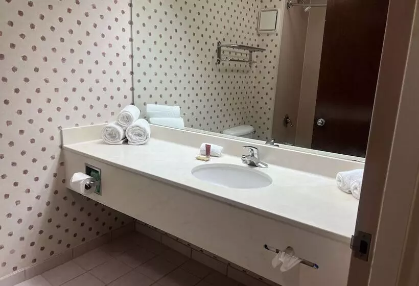 Fotos del hotel Ramada By Wyndham Orlando Florida Mall:  17