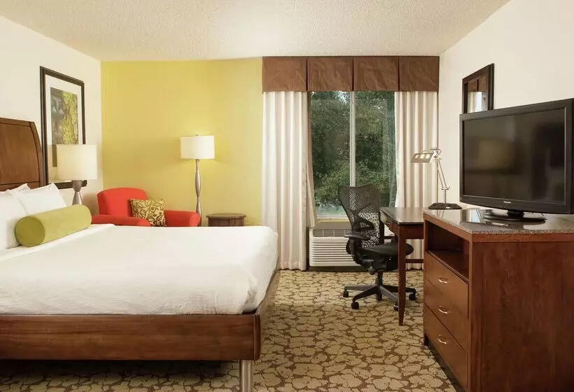 Hilton Garden Inn Orlando Airport