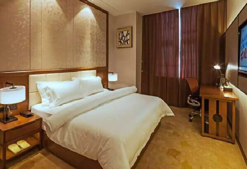 Fotos del hotel Metropolo Nanjing South Railway Station:  6