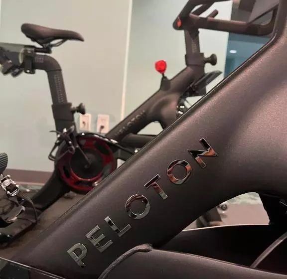 Fotos del hotel Marines' Memorial Club & Hotel Union Square:  25