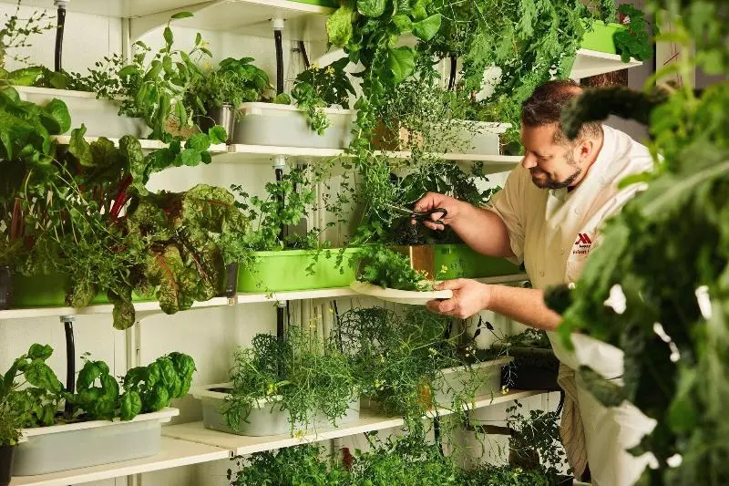 Fotos del hotel Philadelphia Marriott Downtown:  7