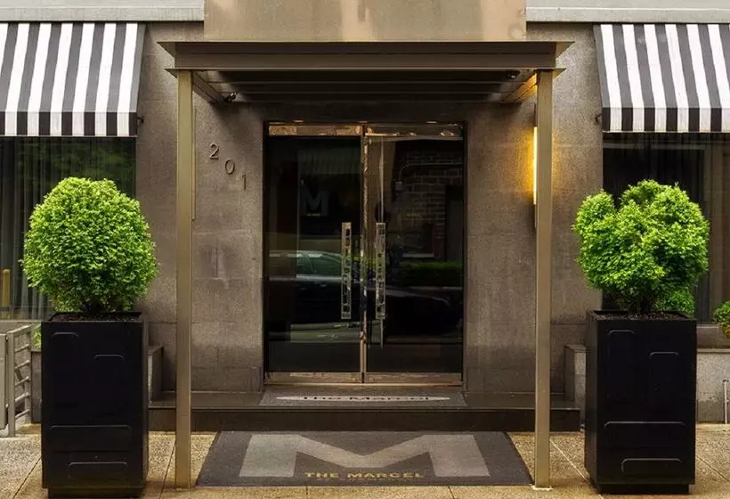 Fotos del hotel The Marcel at Gramercy:  4