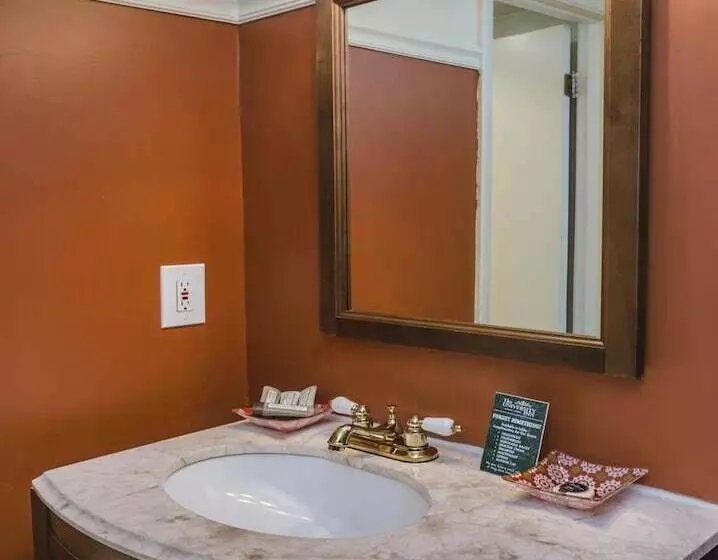 Fotos del hotel The University Inn At Emory:  14