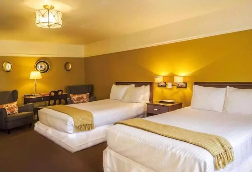 Fotos del hotel The University Inn At Emory:  15