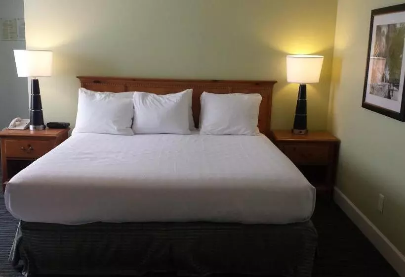 Fotos del hotel The University Inn At Emory:  19