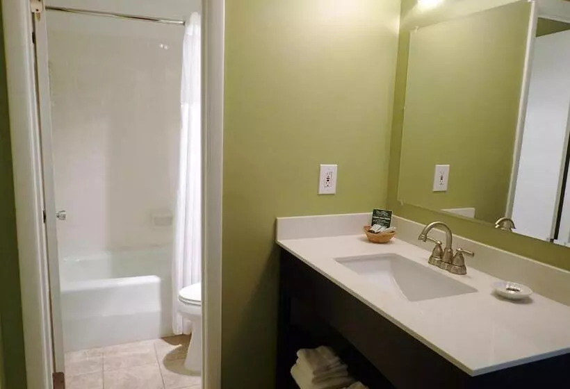 Fotos del hotel The University Inn At Emory:  10