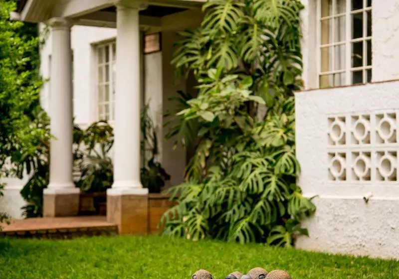 Fotos del hotel Bronte:  22