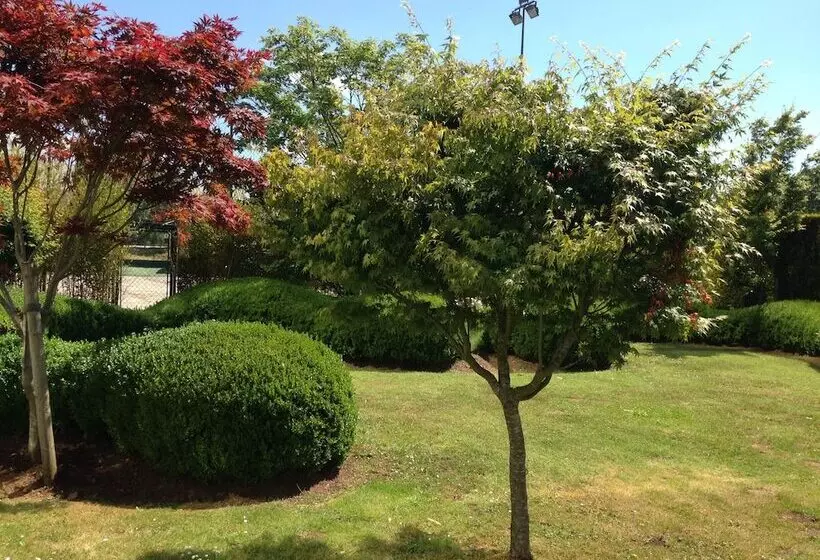 Fotos del hotel Oca Puerta Del Camino:  48