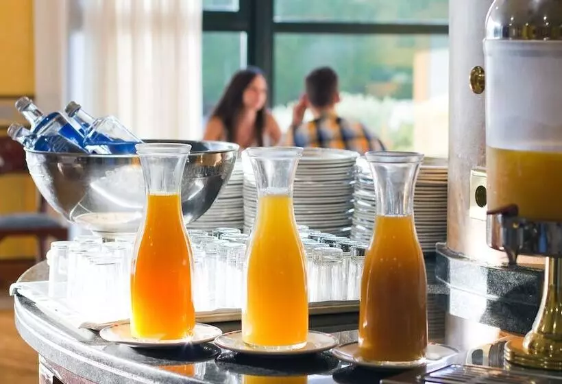 Fotos del hotel Oca Puerta Del Camino:  49