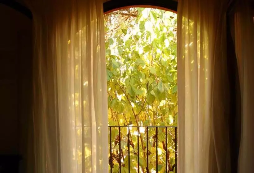 Fotos del hotel Torres:  7