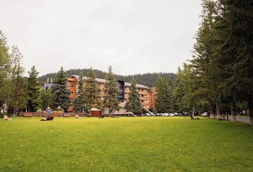 Fotos del hotel Bakuriani Inn:  15