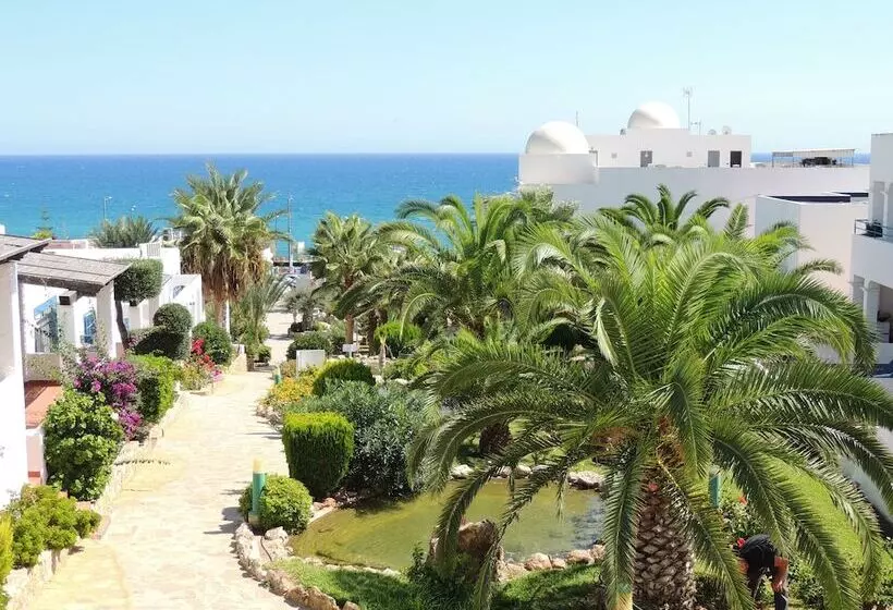 Fotos del hotel Puntazo Ii:  21